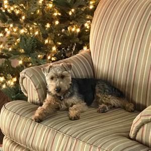 Meet your Posher, Pamela